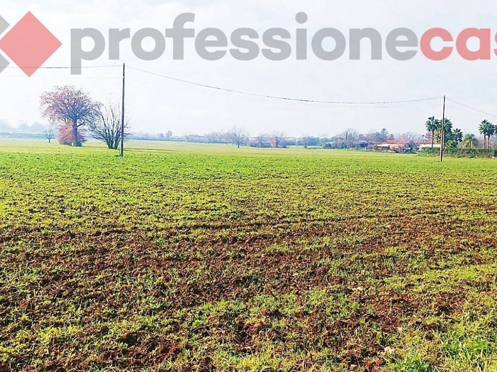 Terreno a Villa santa lucia in VIA CASILINA NORD, 32 - Foto 3