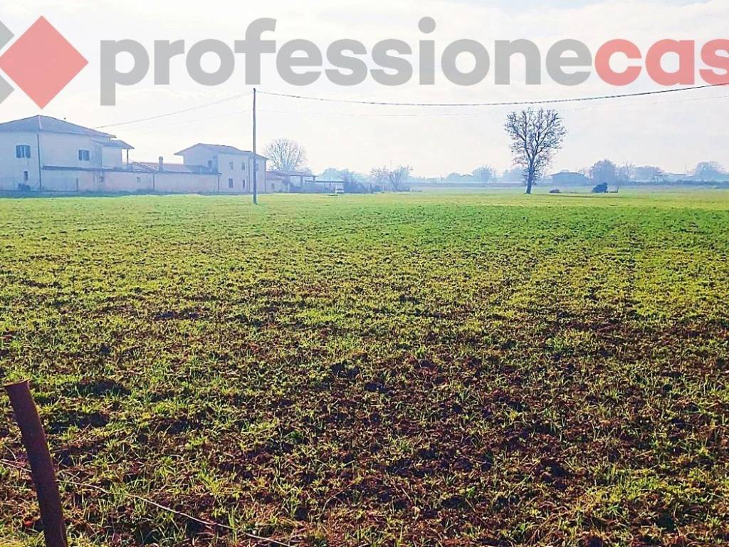 Terreno a Villa santa lucia in VIA CASILINA NORD, 32 - Foto 4