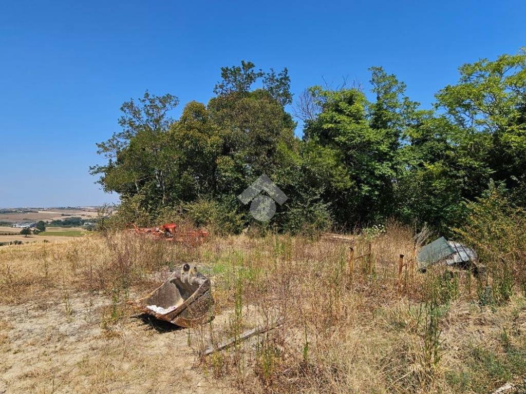 Rustico / casale a Tavullia in via roma - Foto 2