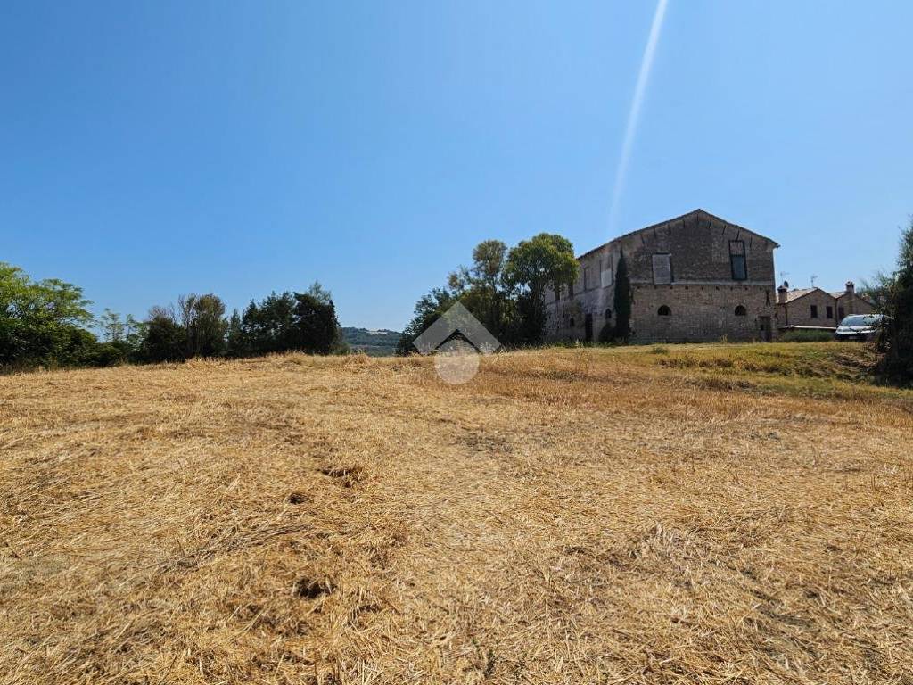 Rustico / casale a Tavullia in via roma - Foto 3