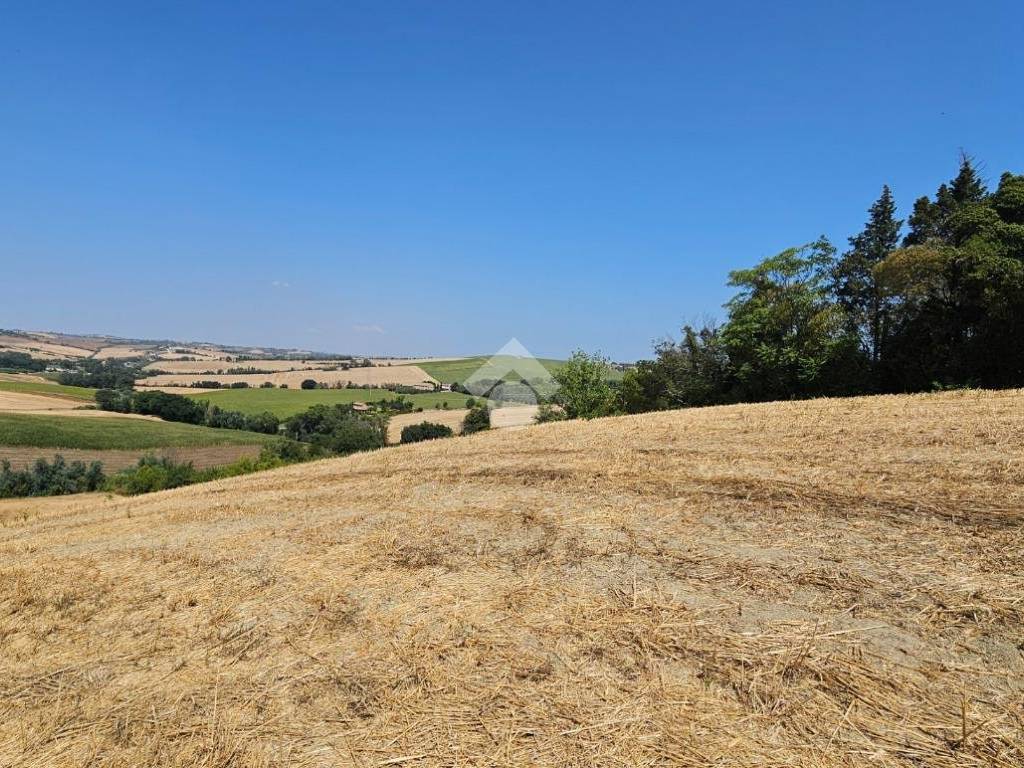 Rustico / casale a Tavullia in via roma - Foto 5