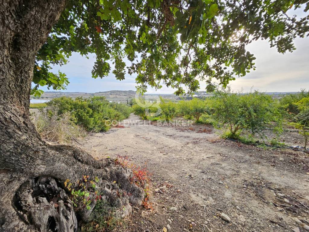 Terreno a Ispica in contrada miucia - Foto 2