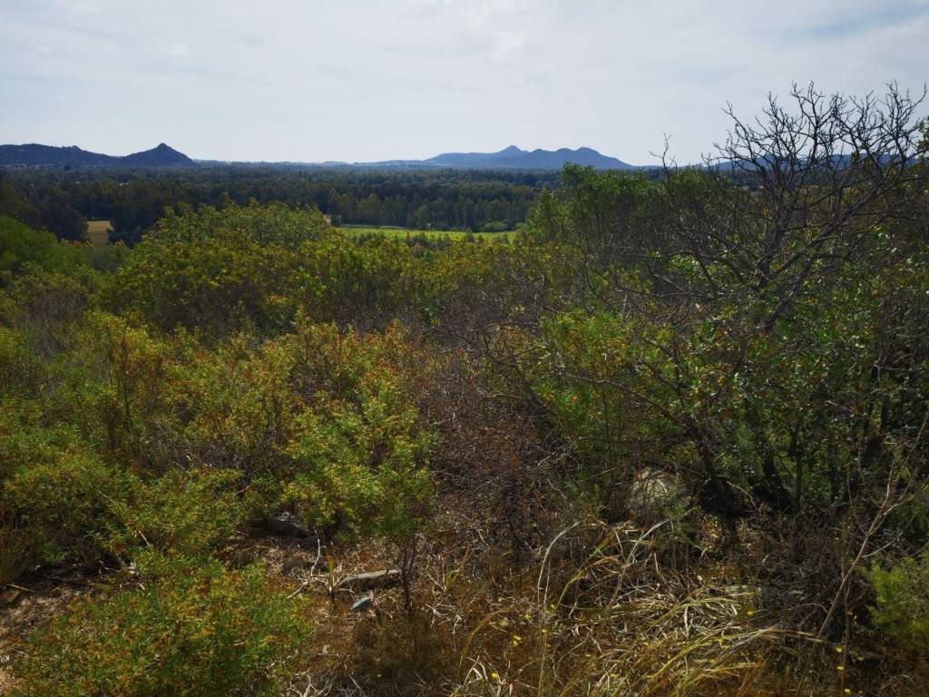 Rustico / casale a Castiadas in Località Monte Gruttas - Foto 4