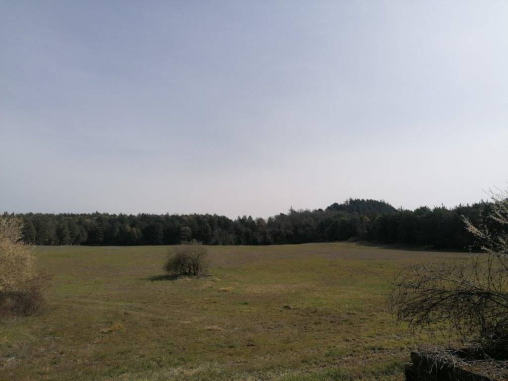 Rustico / casale a Urbino - Foto 4