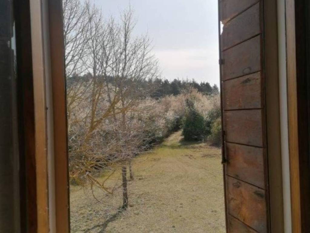 Rustico / casale a Urbino - Foto 5