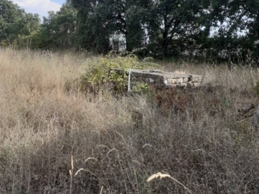 Terreno a Nepi in Via Campo Stivaletto - Foto 2
