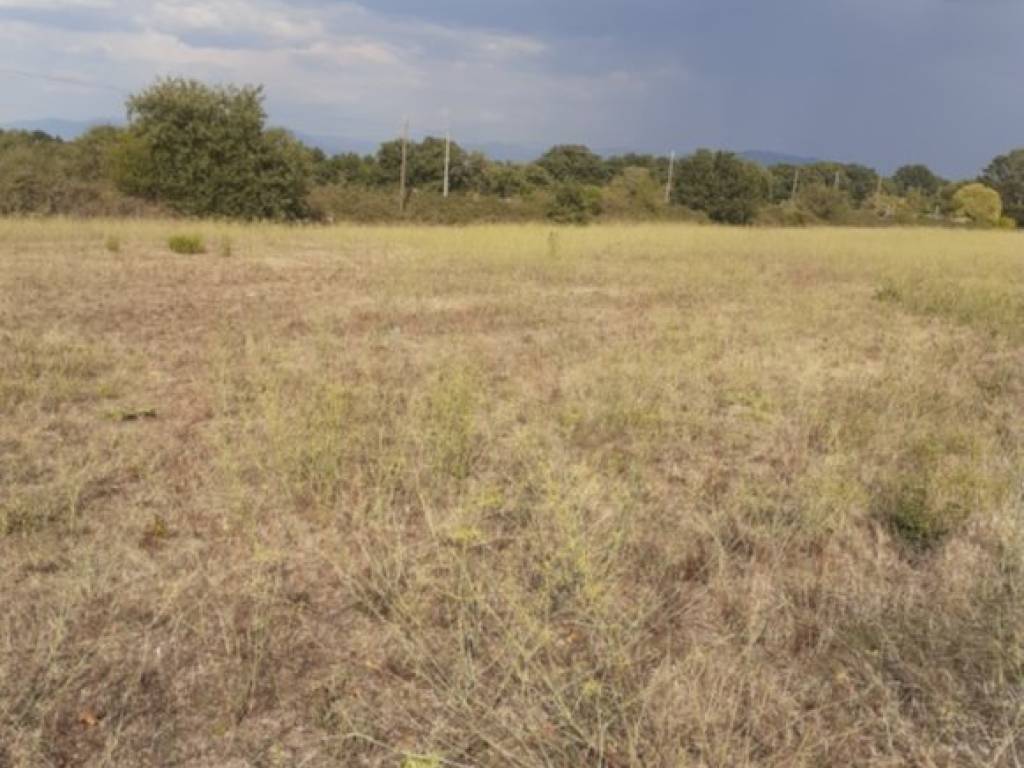 Terreno a Nepi in Via Campo Stivaletto - Foto 3