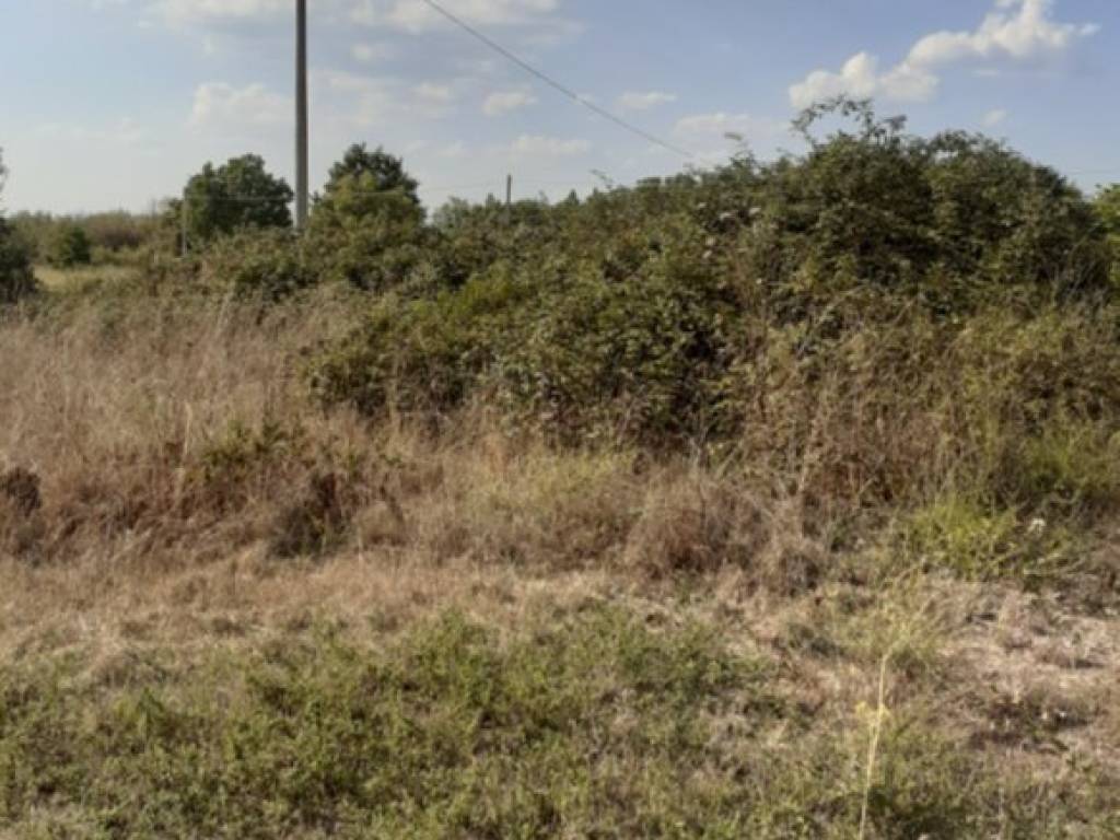 Terreno a Nepi in Via Campo Stivaletto - Foto 4