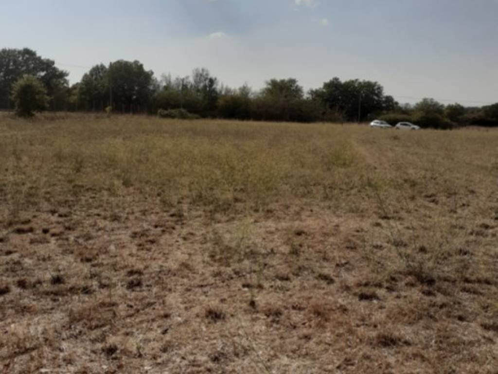 Terreno a Nepi in Via Campo Stivaletto - Foto 5