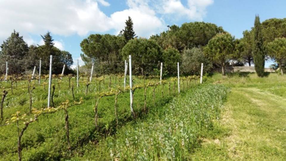 Rustico / casale a Rimini - Foto 3
