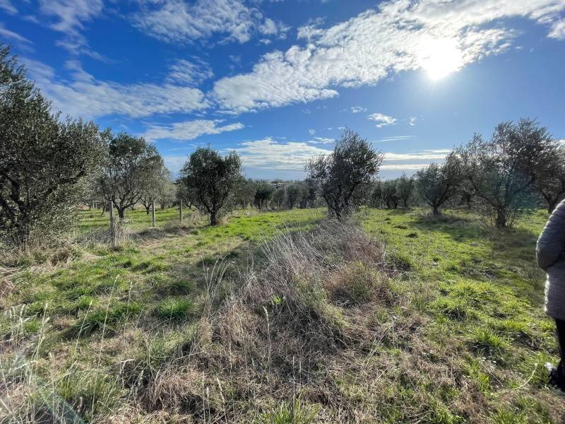 Terreno a Monterosi in Via Marcello Paris - Foto 2