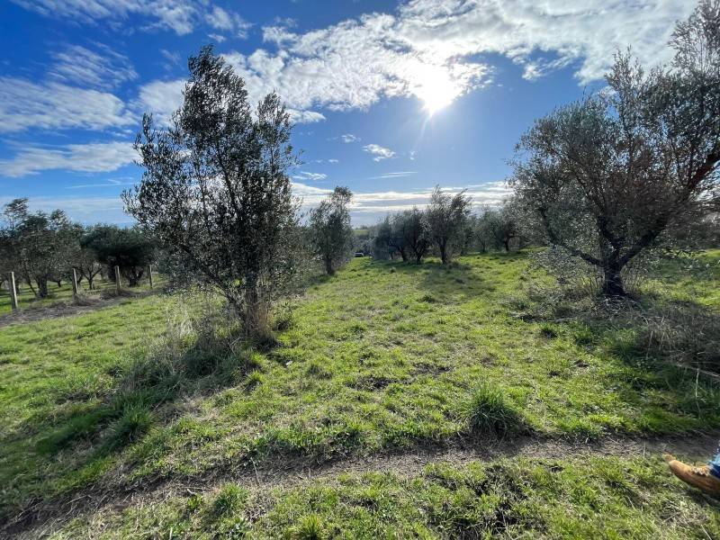 Terreno a Monterosi in Via Marcello Paris - Foto 4