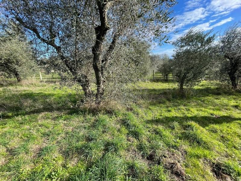 Terreno a Monterosi in Via Marcello Paris - Foto 5