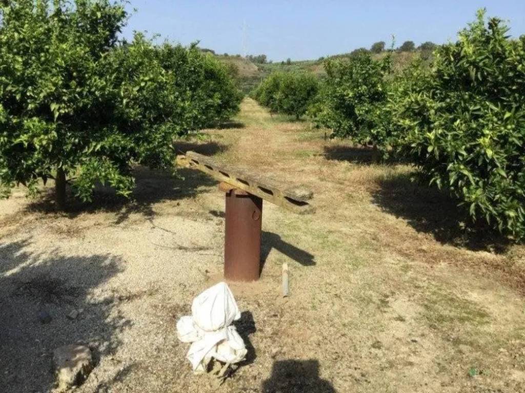 Rustico / casale a San calogero in SP - Foto 2