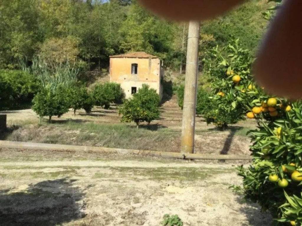 Rustico / casale a San calogero in SP - Foto 4