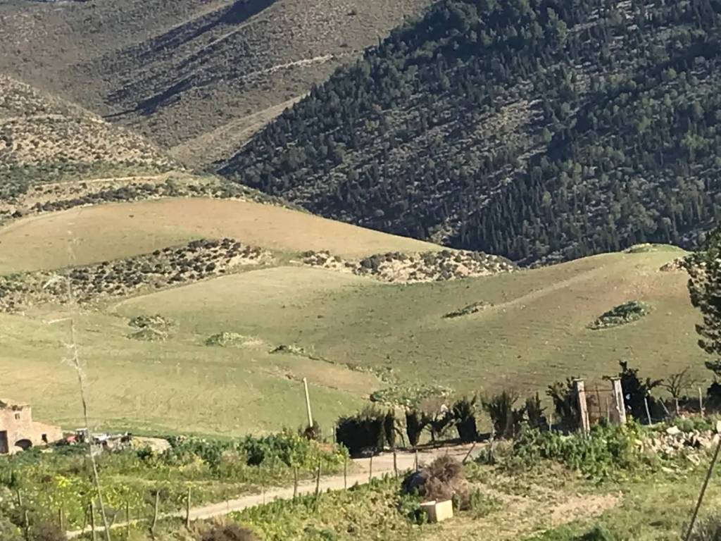Rustico / casale a Catenanuova in Corso Sicilia - Foto 4