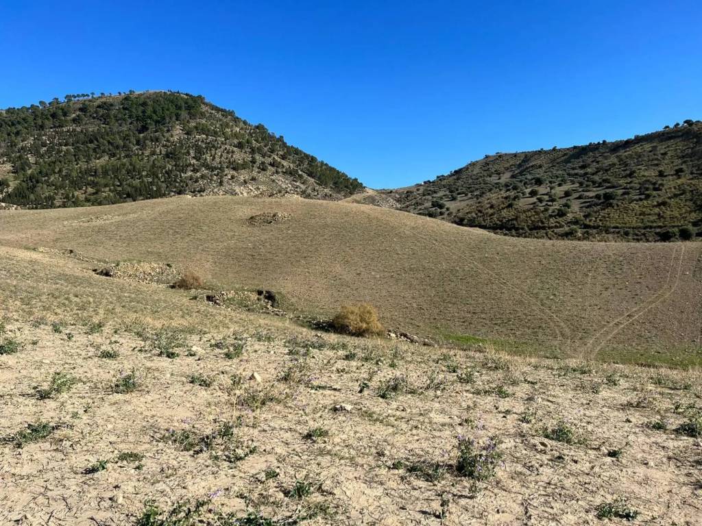 Rustico / casale a Catenanuova in Corso Sicilia - Foto 5