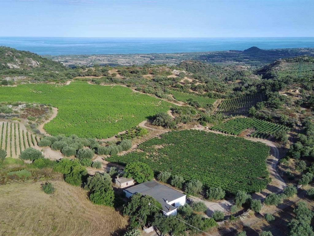 Terreno a Loceri - Foto 2