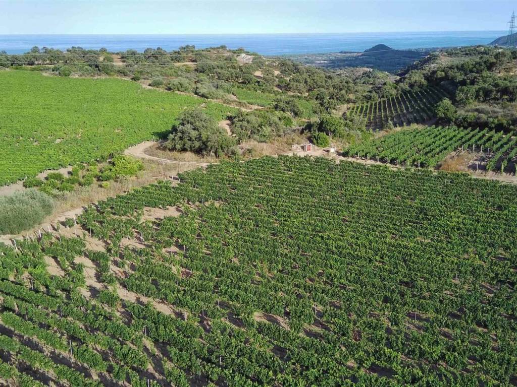 Terreno a Loceri - Foto 5