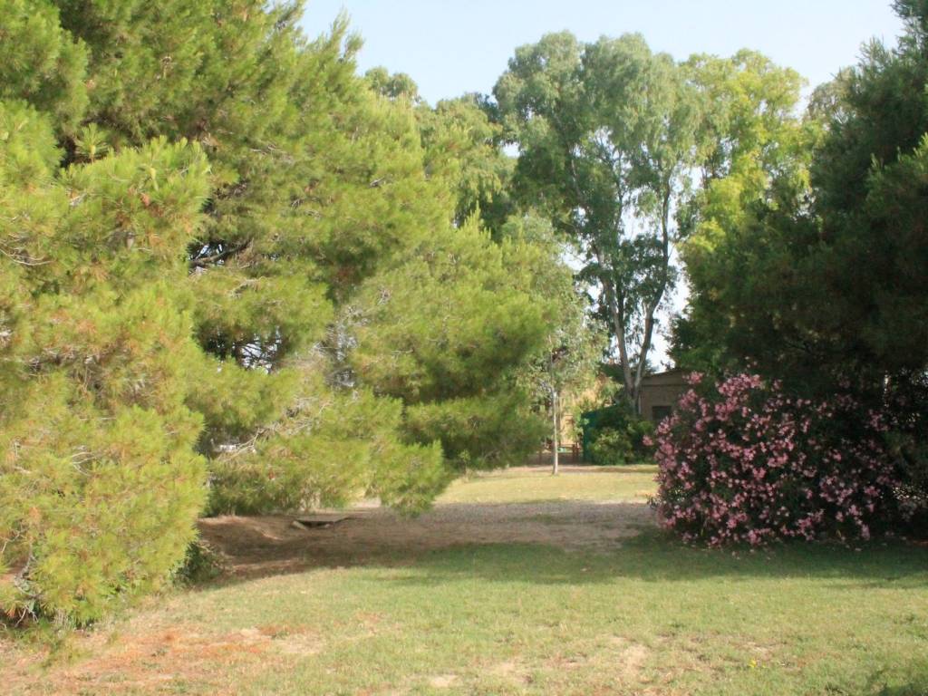 Rustico / casale a Grosseto - Foto 2