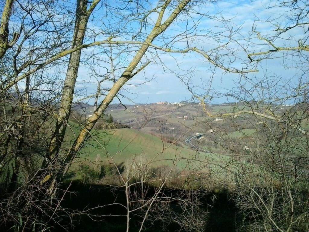Appartamento a Urbino - Foto 5
