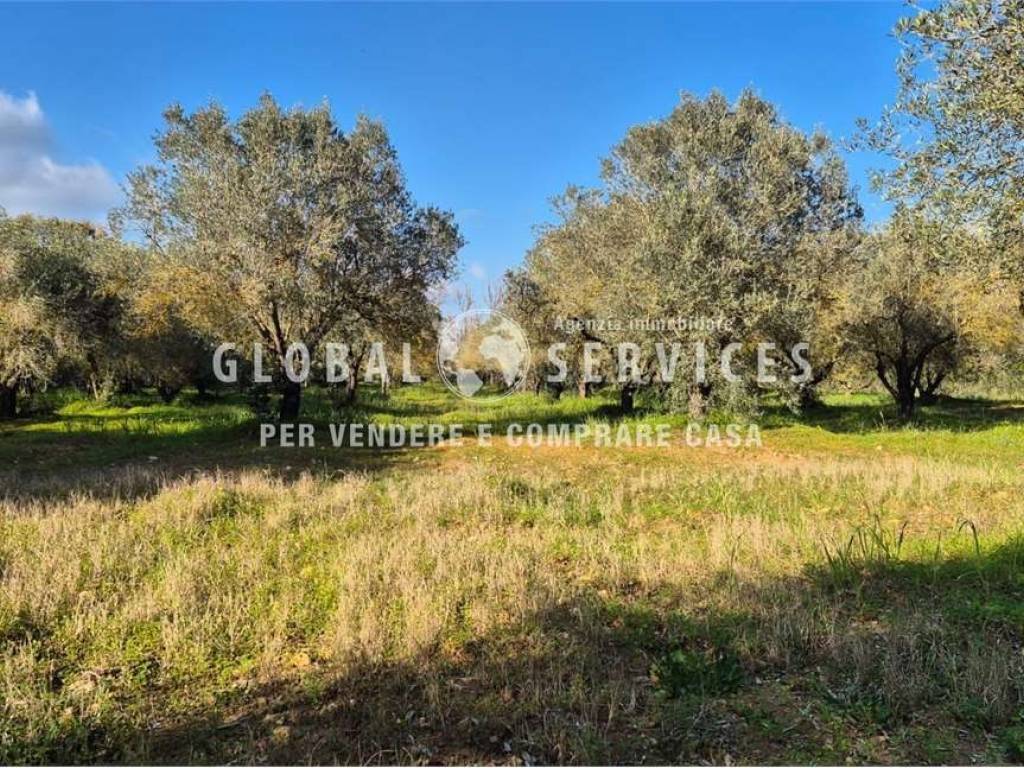 Terreno a Alghero - Foto 3