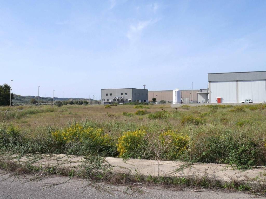 Terreno a Maida in Località Comune Condomini, N. snc - Foto 4