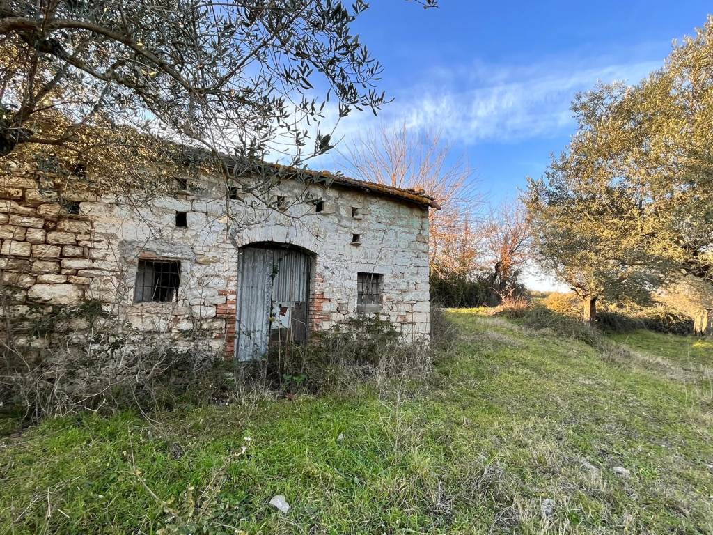 Terreno a Pietrelcina in Via Fontana Cirasa - Foto 3