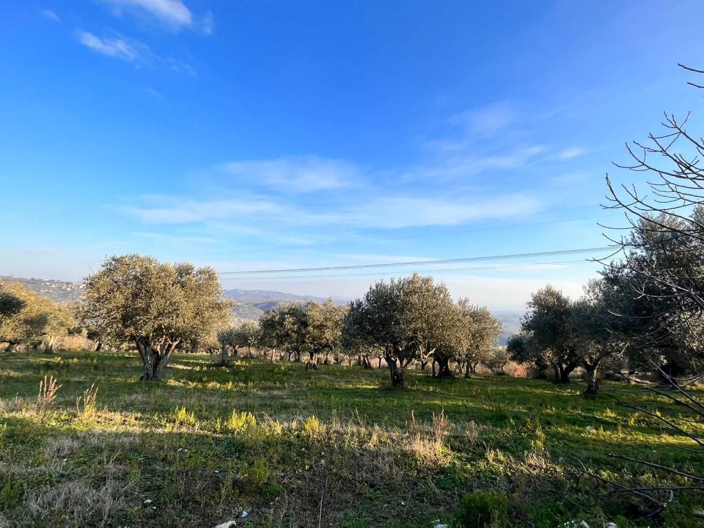 Terreno a Pietrelcina in Via Fontana Cirasa - Foto 4