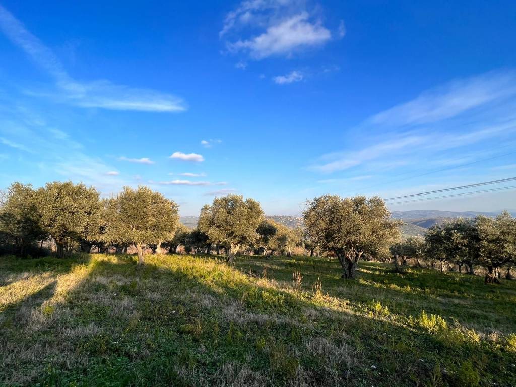 Terreno a Pietrelcina in Via Fontana Cirasa - Foto 5