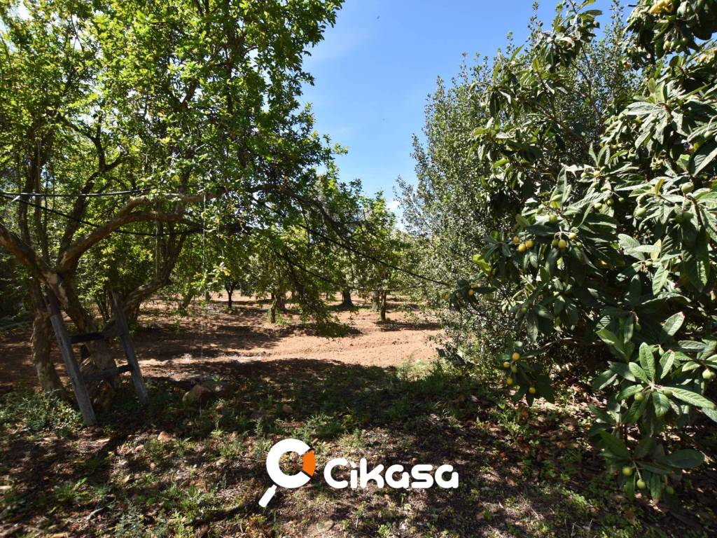 Terreno a Quartucciu in Via delle Orchidee - Foto 2