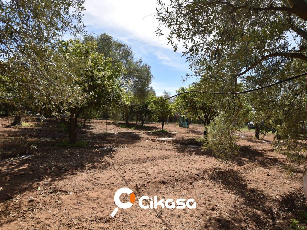 Terreno a Quartucciu in Via delle Orchidee - Foto 4