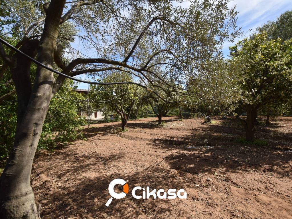 Terreno a Quartucciu in Via delle Orchidee - Foto 5