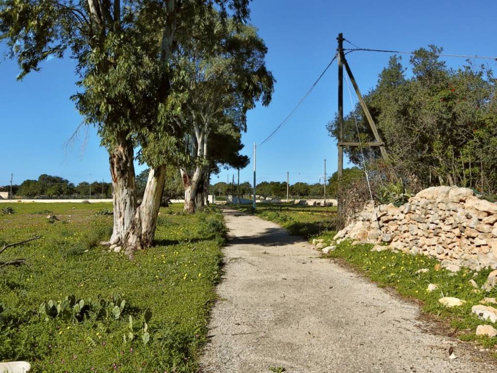 Rustico / casale a Santa croce camerina in Strada Provinciale 120, 30 - Foto 5