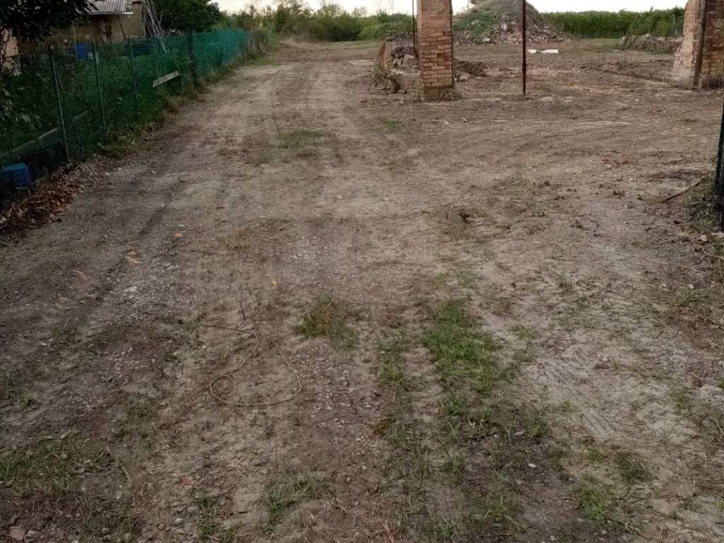 Rustico / casale a Castelvetro di modena in Via Sinistra Guerro, 49 - Foto 5