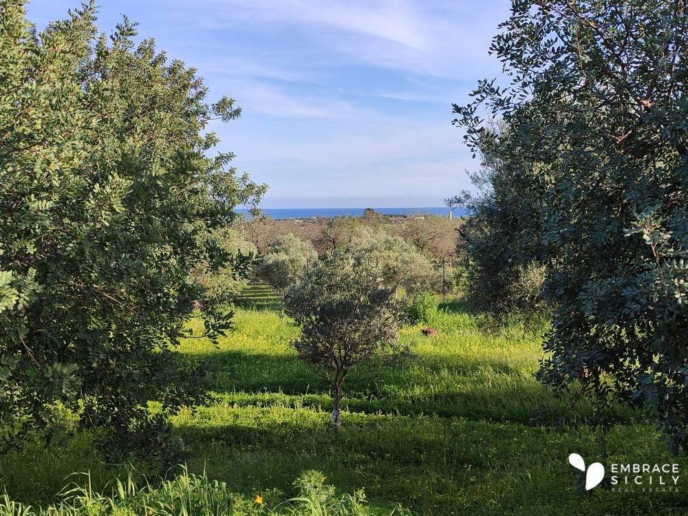 Villa a Noto in SP59 - Foto 3