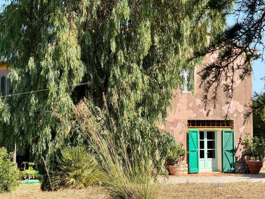 Villa a Magliano in toscana in ZONA BANDITELLA - Foto 2