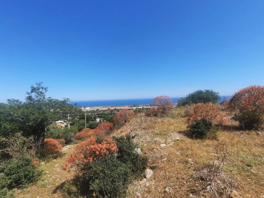 Terreno a Cinisi - Foto 4