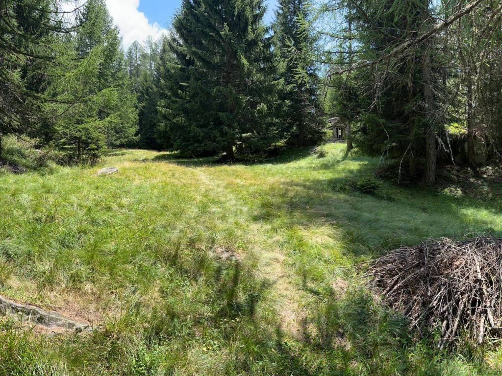 Rustico / casale a Varzo in località il Cros - Foto 2