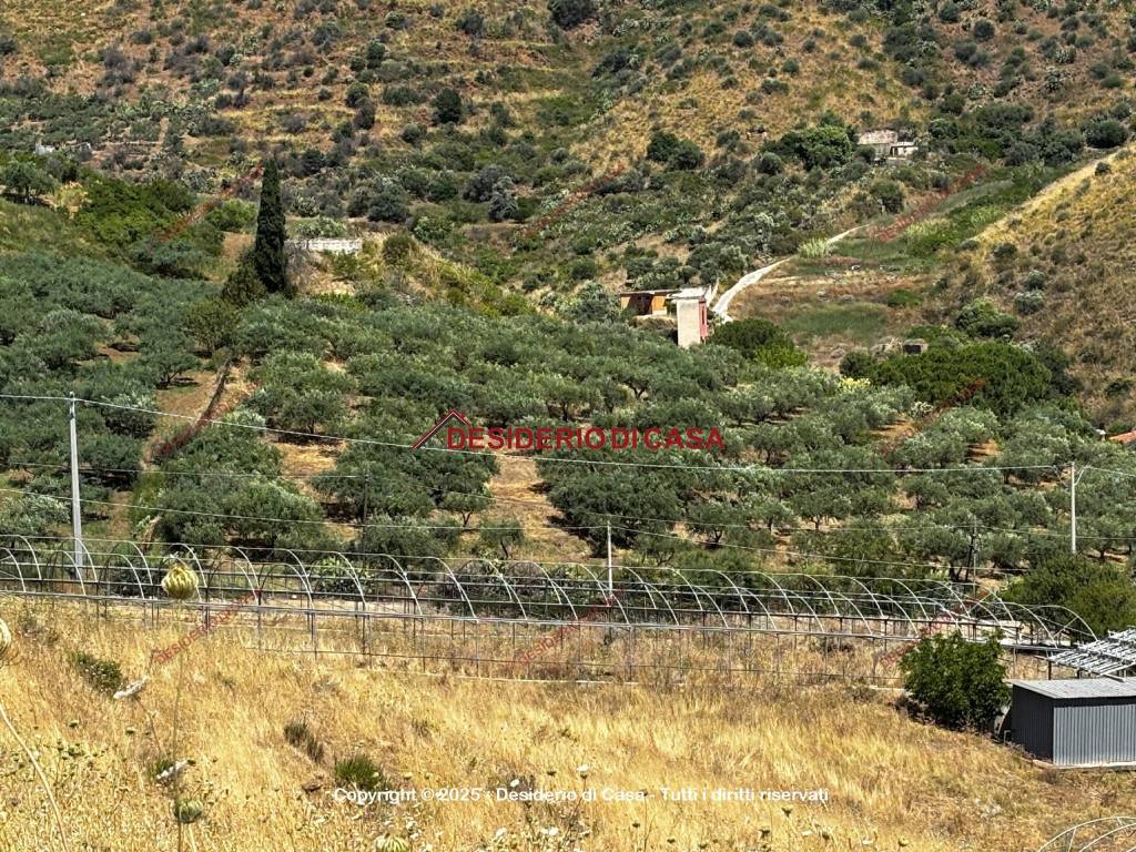 Terreno a Marineo in SR131 - Foto 4