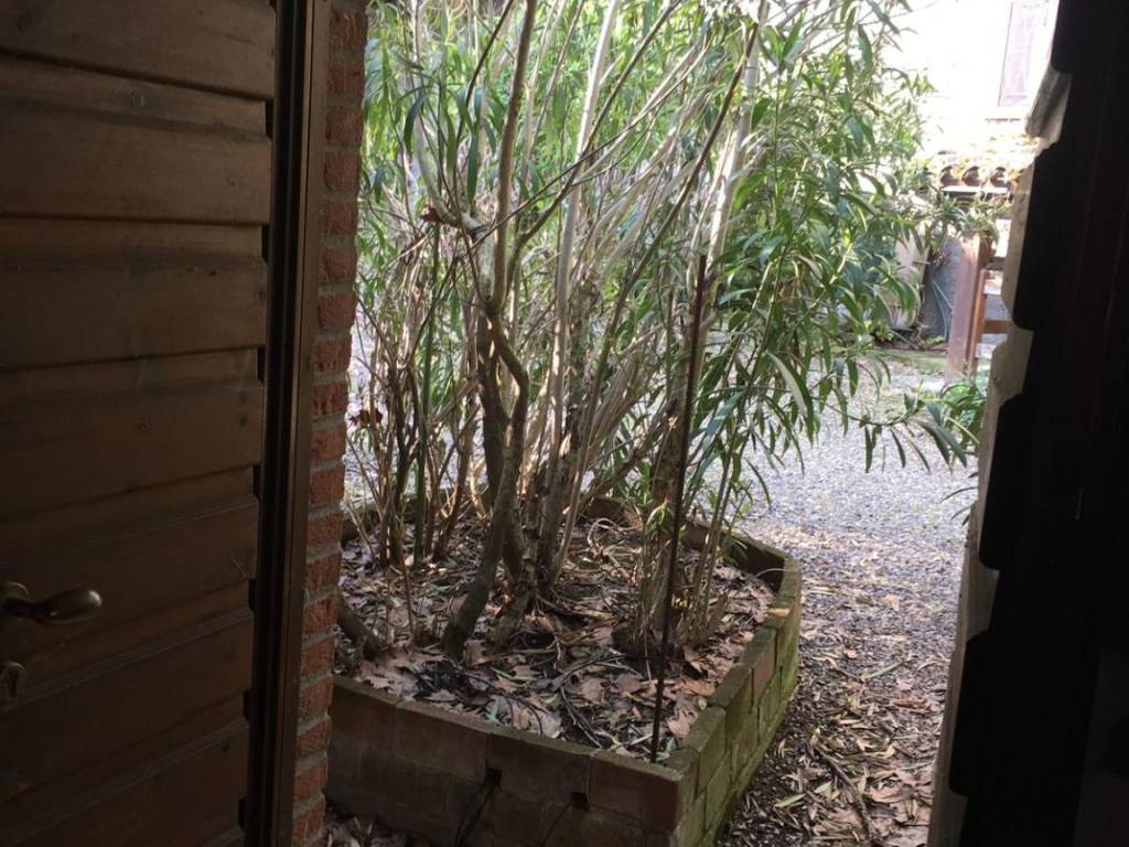 Rustico / casale a Piacenza in Via Roma - Foto 3