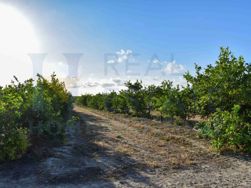 Terreno a Noto in Via Tommaso Fazello, 228 - Foto 2