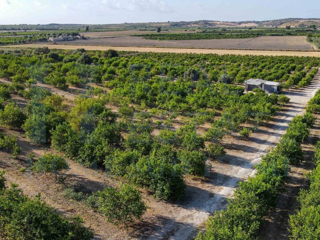 Terreno a Noto in Via Tommaso Fazello, 228 - Foto 3
