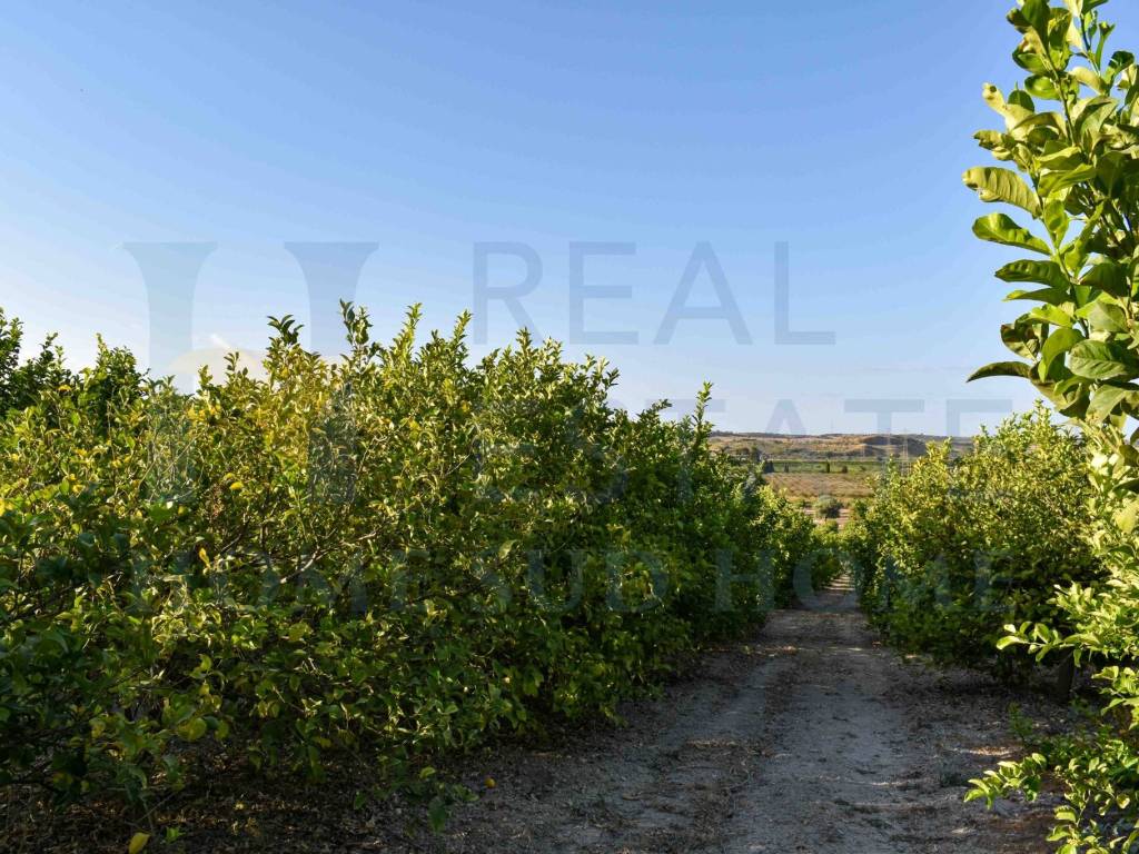 Terreno a Noto in Via Tommaso Fazello, 228 - Foto 4