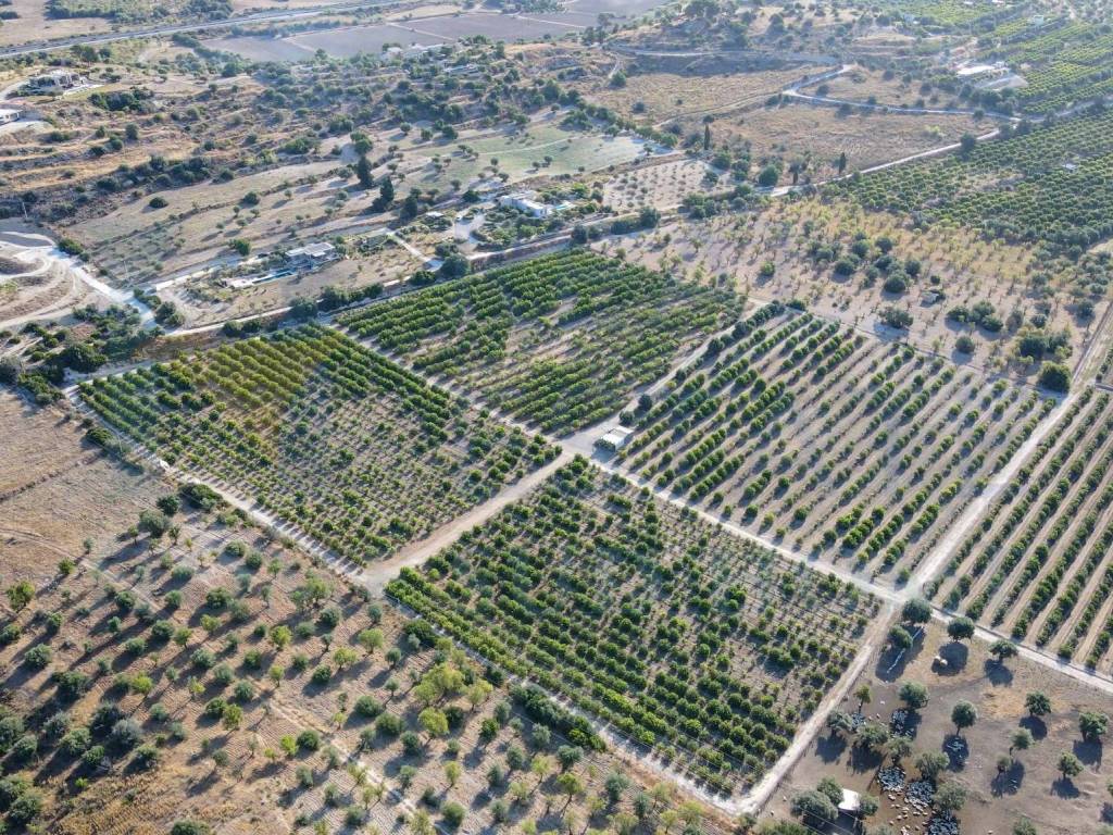 Terreno a Noto in Via Tommaso Fazello, 228 - Foto 5