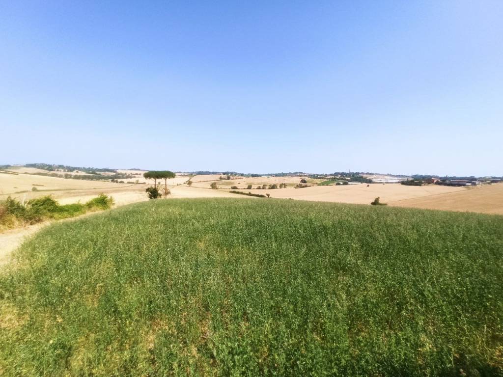 Rustico / casale a Castiglione del lago in Località Binami - Foto 4