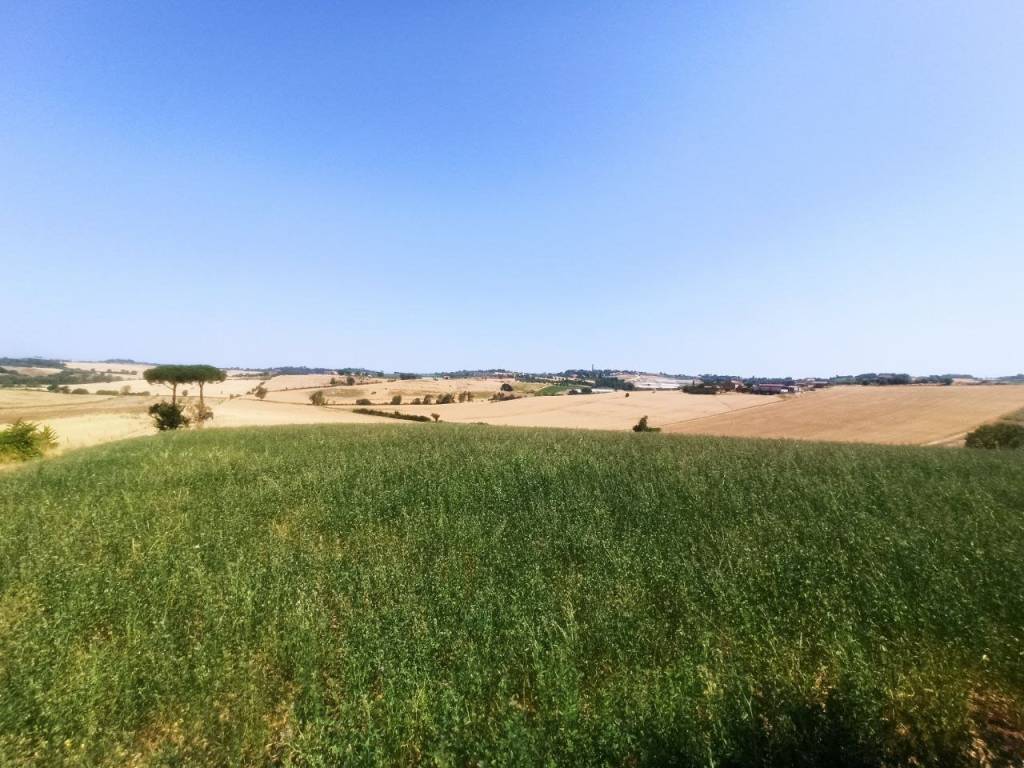 Rustico / casale a Castiglione del lago in Località Binami - Foto 5
