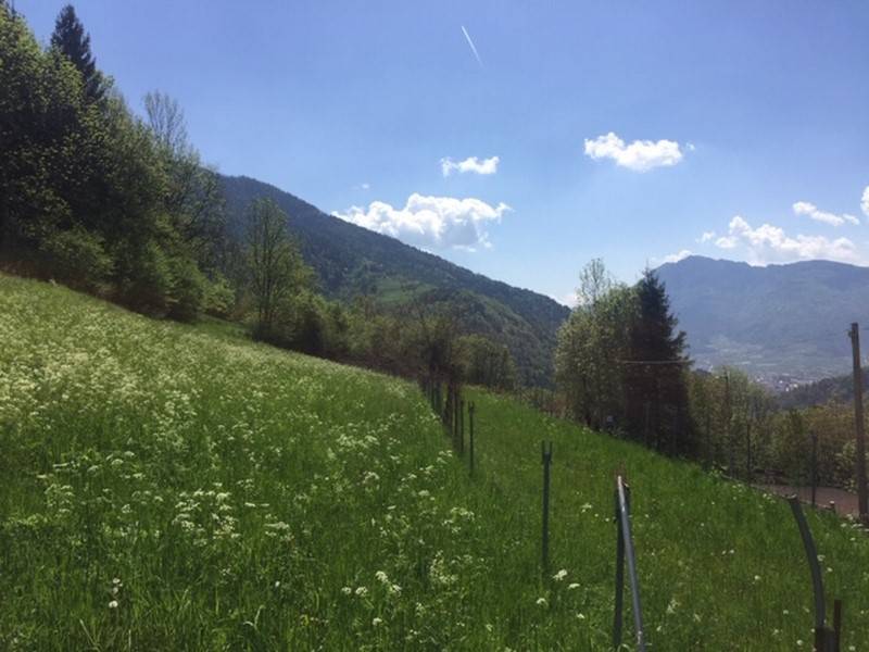 Terreno a Frassilongo in Strada Provinciale 135, 23 - Foto 2