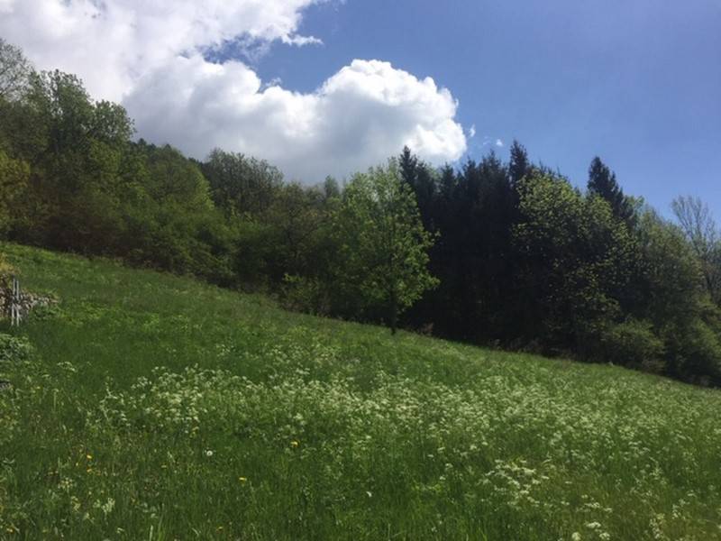 Terreno a Frassilongo in Strada Provinciale 135, 23 - Foto 3