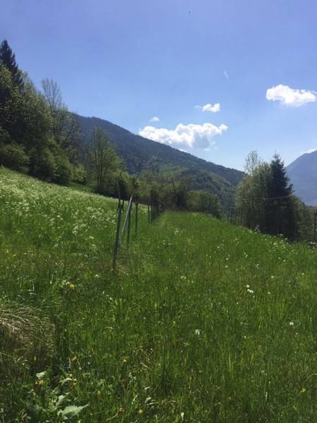 Terreno a Frassilongo in Strada Provinciale 135, 23 - Foto 4